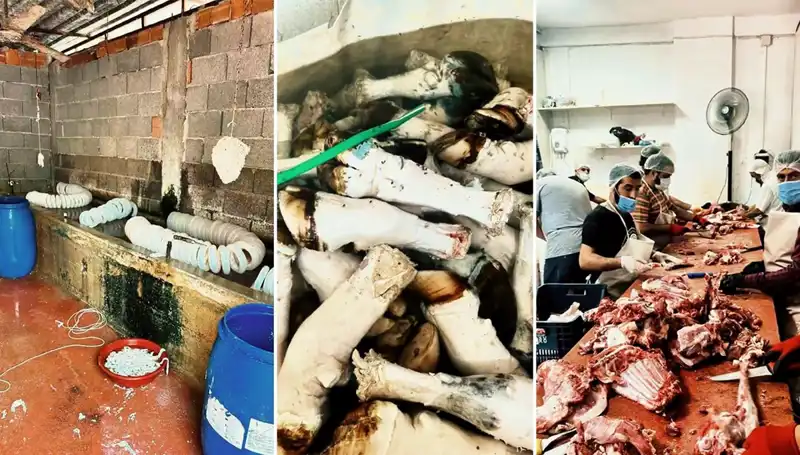 Adana'da Ele Geçirilen Yüzlerce Kilo Paça İle İlgili Şok Edici Detaylar!