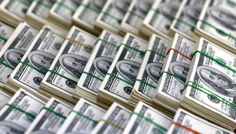 Doların Hızla Yükselişi: Ekonomistler Uyarıyor, Pazar Nasıl Etkilenecek?