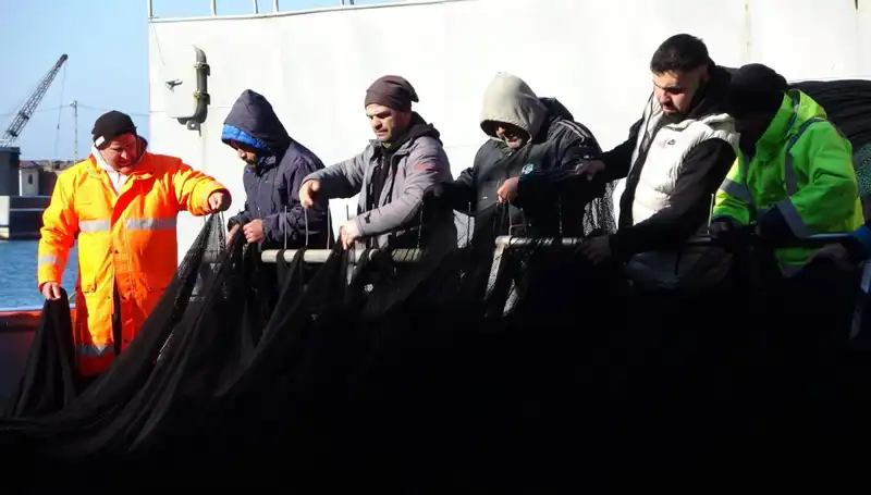 Türkiye'nin Karadeniz'inde Hamsi Avı Sona Erdi: Balıkçılar Üzgün!