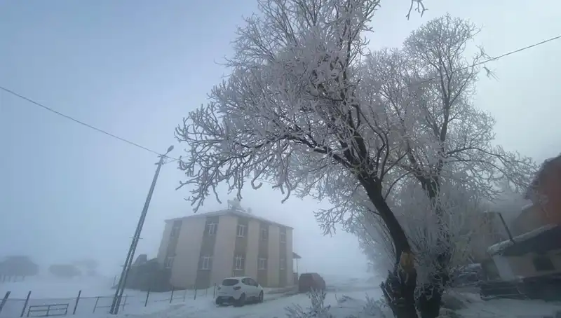 Göle Bölgesinde Soğuk Rekoru: Sıfırın Altında Eksi 18 Derece!