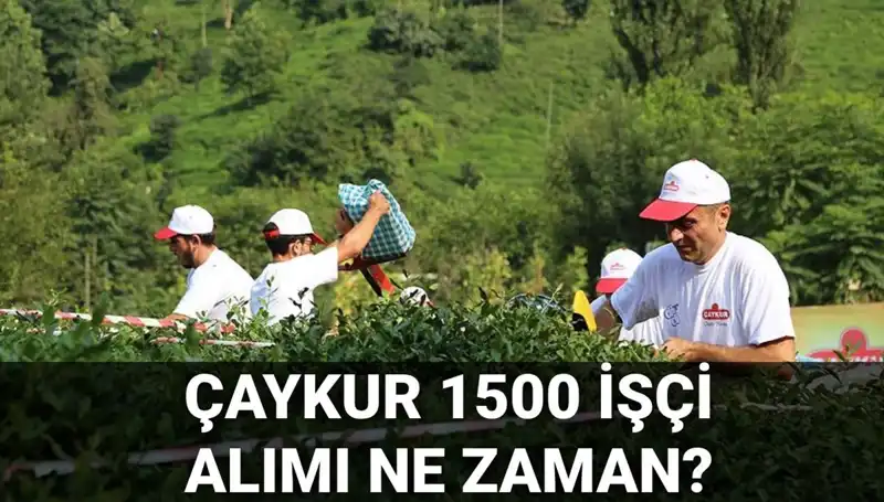 Çaykur İşçi Alımında Heyecan Verici Gelişmeler: Başvuru Tarihleri Açıklandı mı?
