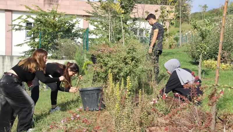Düzce'den Dünyaya: Hayaller Gerçekleştikçe Büyüyor