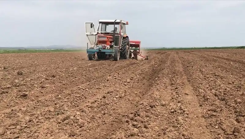 Son 35 Yılın En Kurak Mart Ayı Yaşandı: Yağışlar Tarihi Düşüş Gösterdi