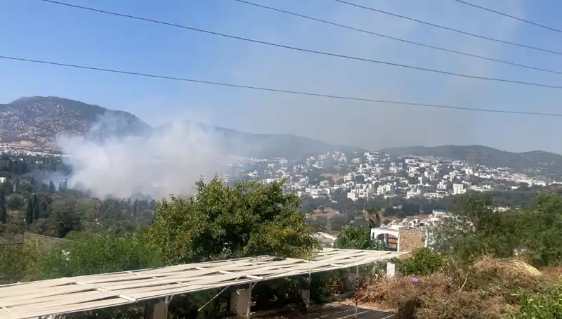 Muğla'daki Orman Yangınları Kontrol Altında: Tüm Detaylar ve Son Durum
