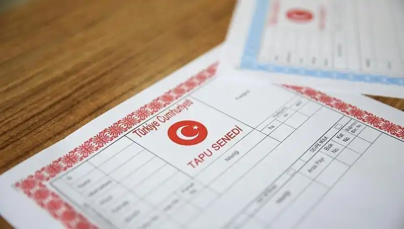 100 Milyonluk Hisseli Tapu Dolandırıcılığı: Tuzağın Perdesi Aralandı