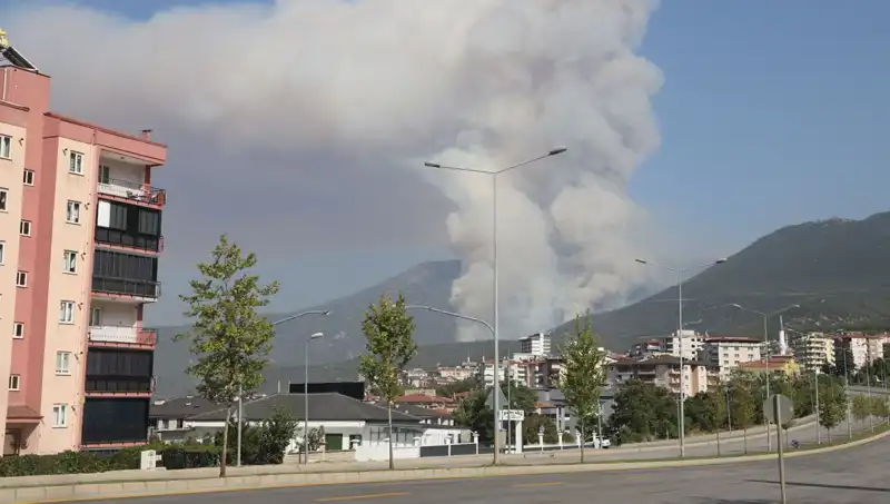 Denizli'deki Orman Yangınında Bir Şüpheli Gözaltına Alındı
