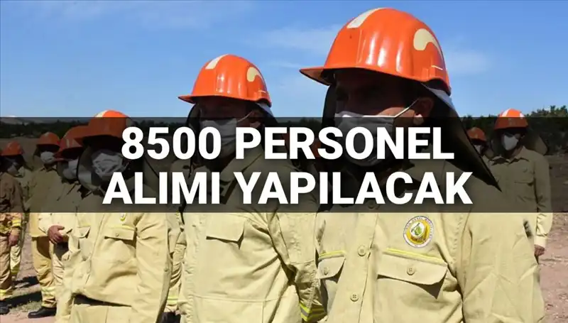 2025 Tarım ve Orman Bakanlığı 8500 Personel Alımı: Şartlar ve Tarih Ne Olacak?