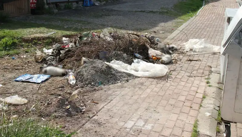 Antalya'da Şok Eden Vahşet: 10 Kedi Ölü Bulundu