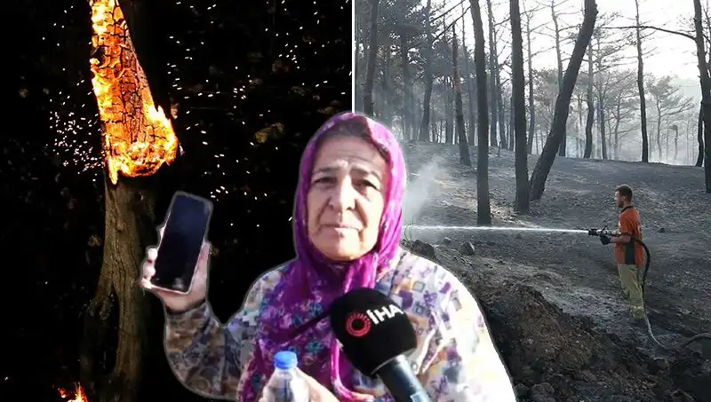 Çanakkale Orman Yangınları Kontrol Altına Alındı: Kayıplar ve Kurtarma Çabaları