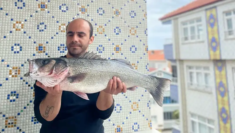 7.5 Kiloluk Dev Levrek Avı: Balıkçıların Rekor Kıran Temmuz Ziyafeti