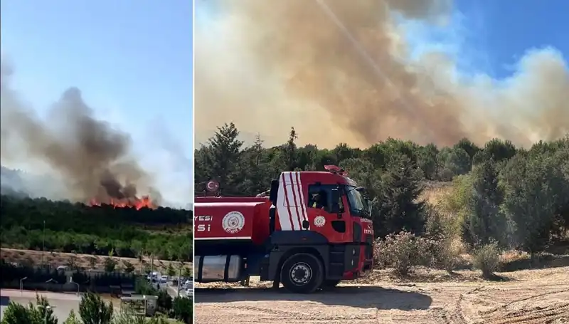 Gebze'de Yangın Paniği: Orman Alanları Alev Alev Yandı!