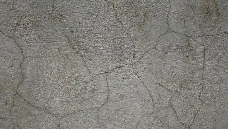 Canlı Beton: Çatlakları Kendi Kendine Onaran Devrim Niteliğinde Bir İnovasyon