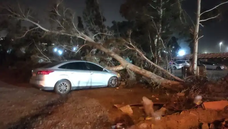 Hatay’da Beklenmedik Fırtına: Tekneler Dev Oturdu, Ağaçlar Devrildi