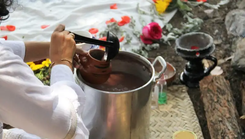 Ayahuasca: Gizemli Çayın Şaşırtıcı Faydaları ve Yasal Durumu