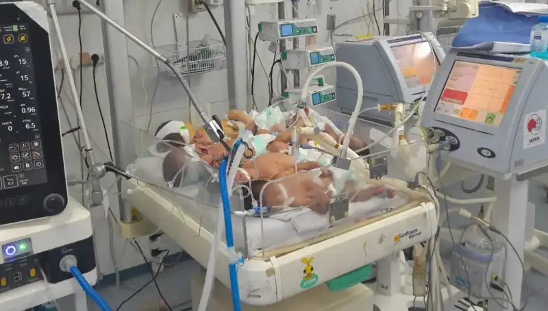 Gazze'deki Doktorlar Çaresizlik İçinde: Aynı Kuvözde Birden Fazla Bebek!