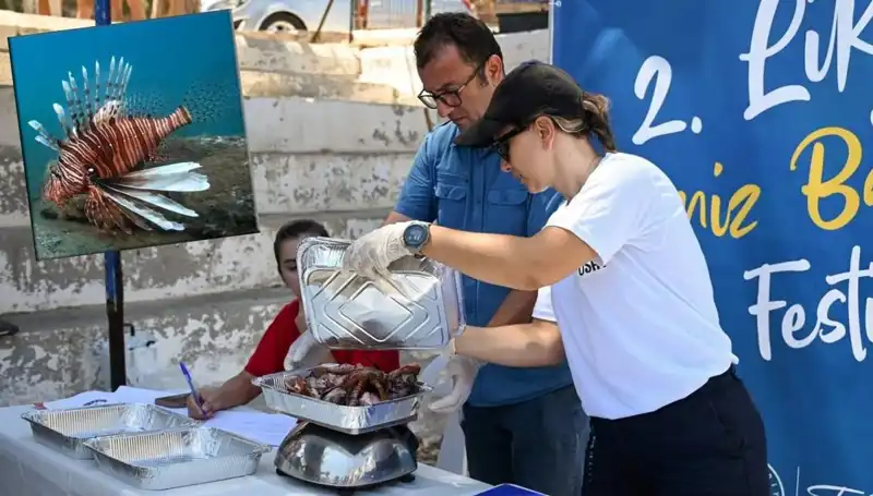 Antalya'da İstilacı Aslan Balığı Avlama Yarışması Büyük İlgi Gördü!